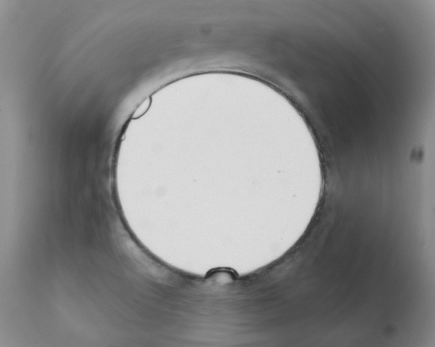 X0000112081512200909151100