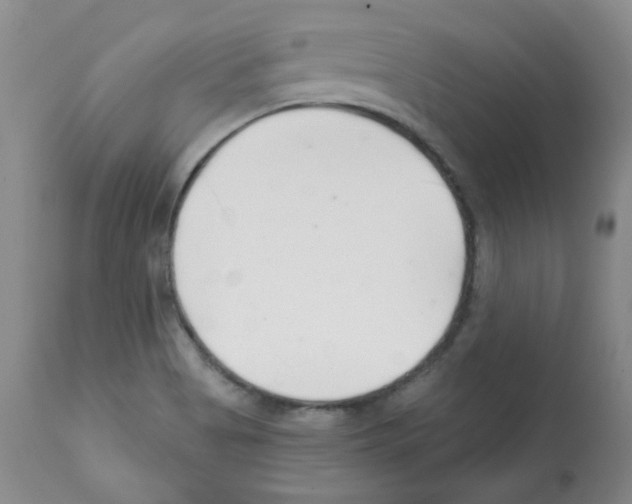 X0000112081513200909151100