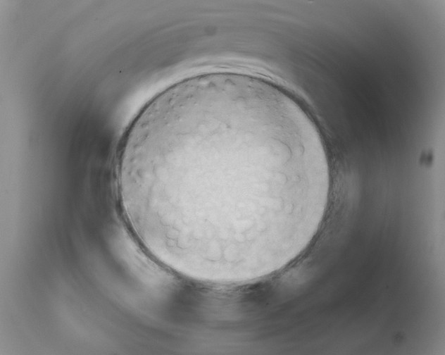 X0000112081514200909151100