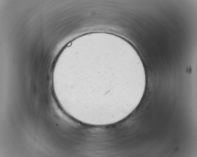 X0000112081515200909151100