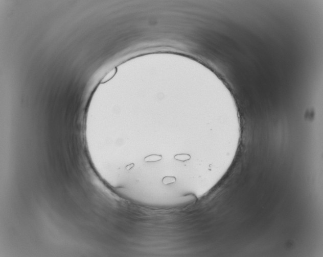 X0000112081516200909151100
