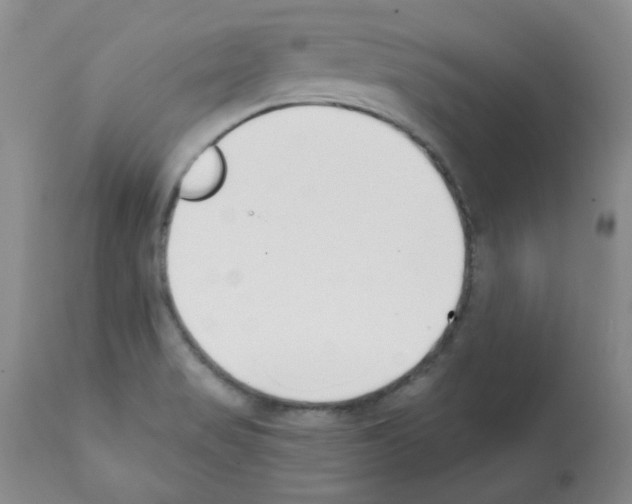 X0000112081517200909151100