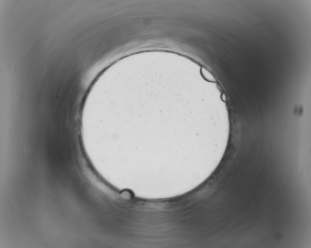 X0000112081519200909151100