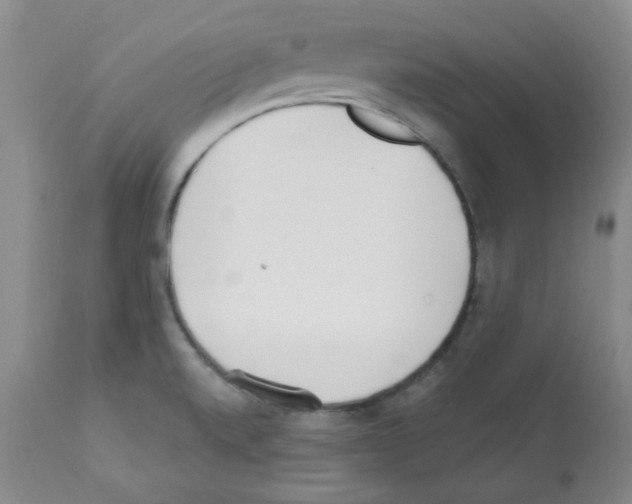 X0000112081520200909151100