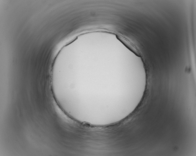X0000112081524200909151100