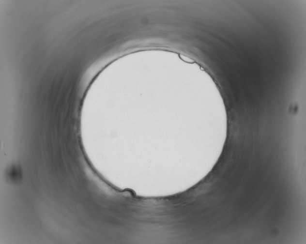X0000112081527200909151100
