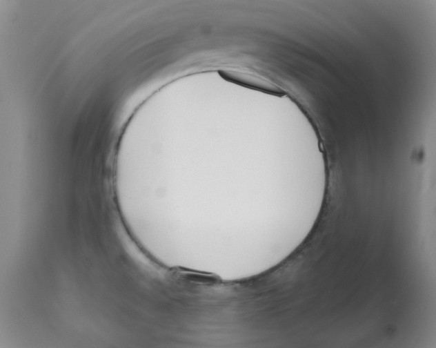 X0000112081528200909151100