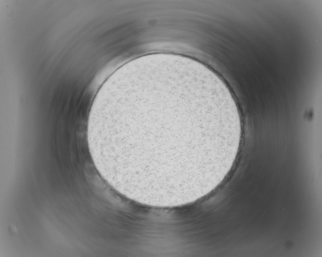 X0000112081529200909151100