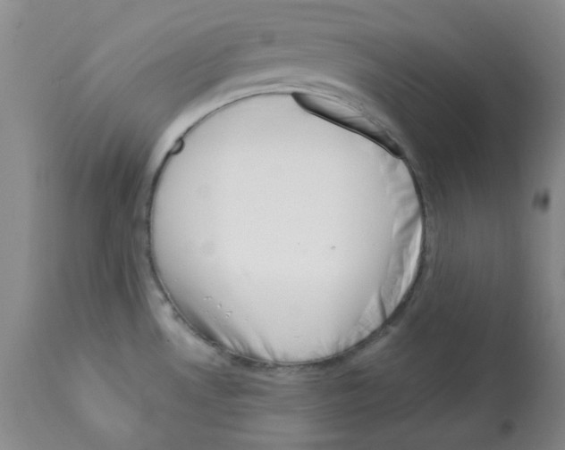 X0000112081530200909151100