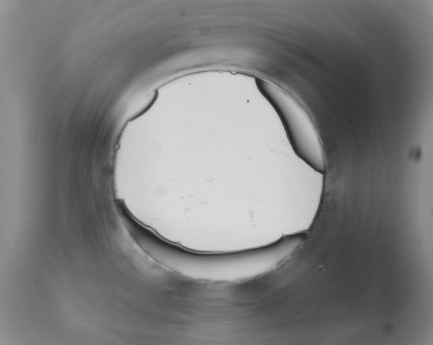X0000112081532200909151100