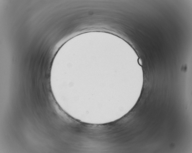 X0000112081534200909151100
