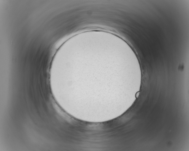 X0000112081535200909151100