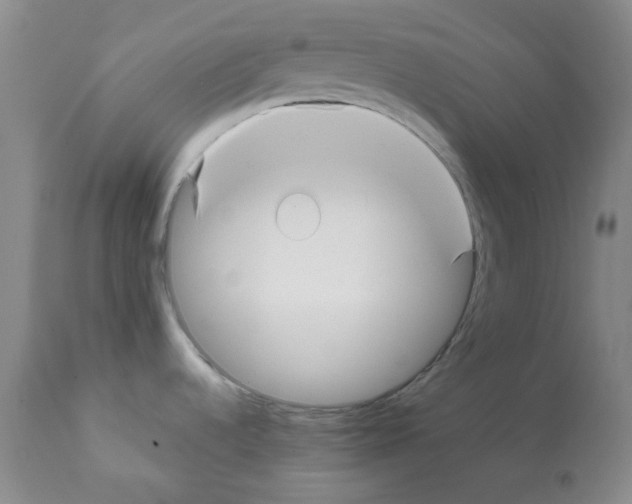 X0000112081536200909151100