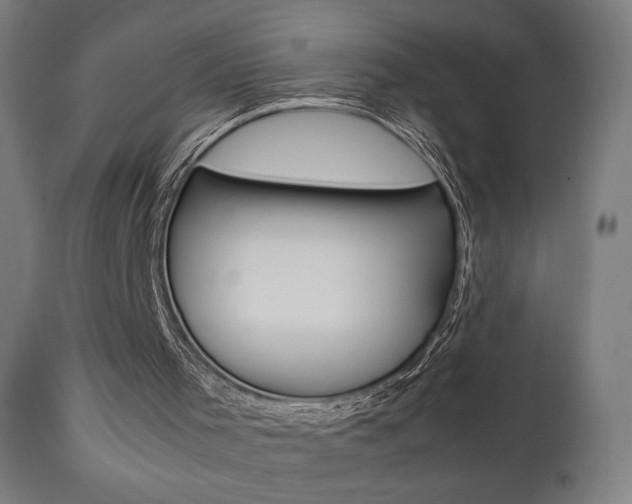 X0000112090001200908041100