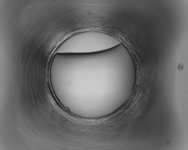 X0000112090002200908041100