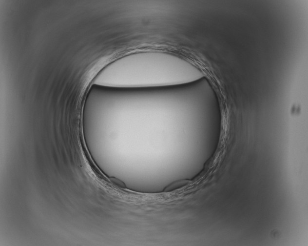 X0000112090003200908041100