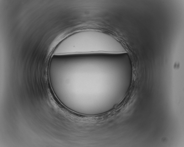 X0000112090004200908041100