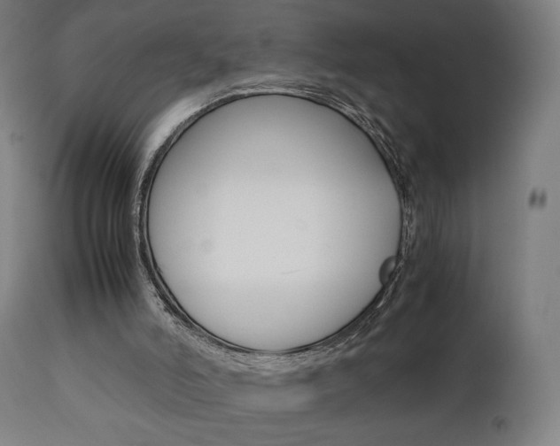 X0000112090006200908041100