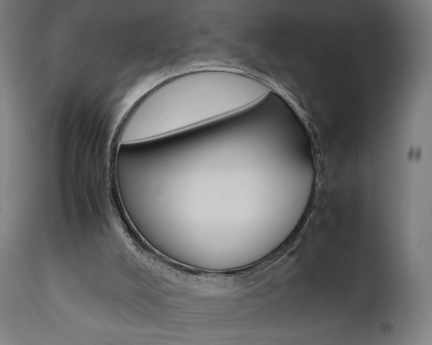 X0000112090008200908041059