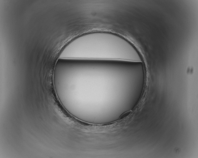 X0000112090009200908041059