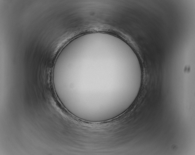 X0000112090010200908041059