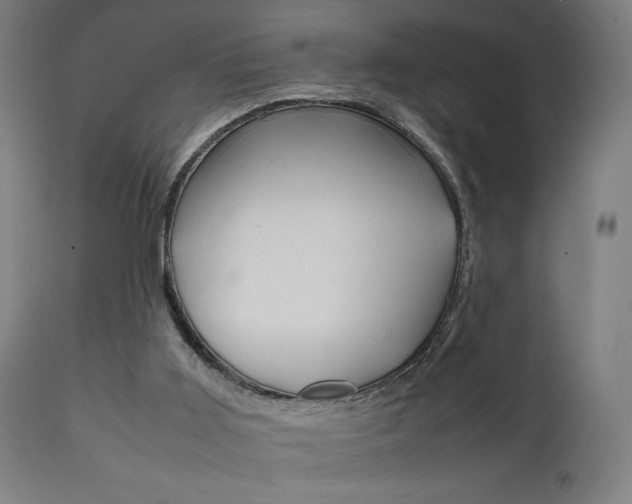 X0000112090011200908041059