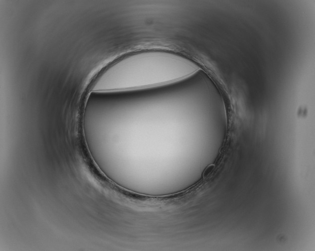 X0000112090012200908041059
