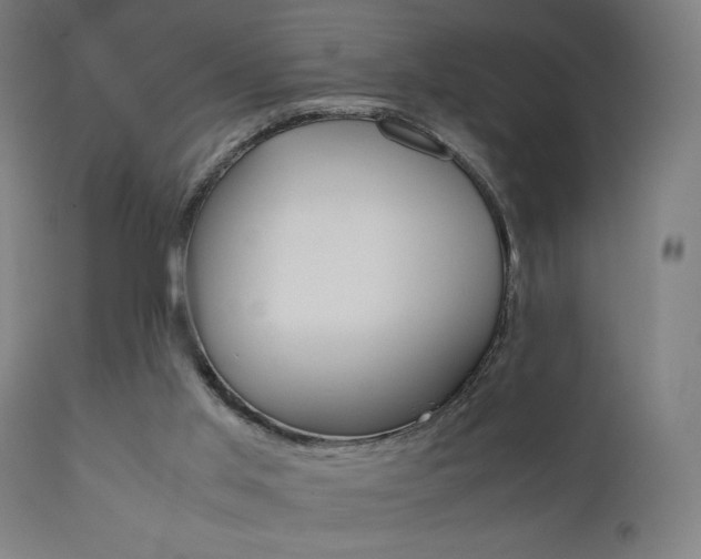 X0000112090013200908041059