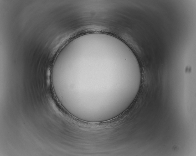 X0000112090014200908041059