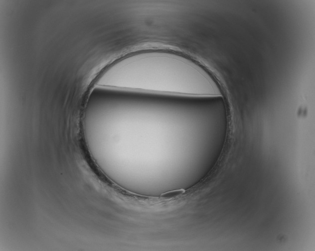 X0000112090015200908041059