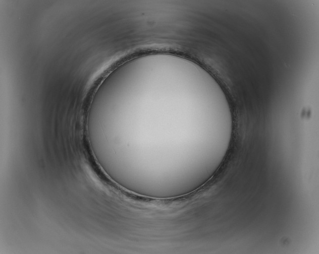 X0000112090016200908041059