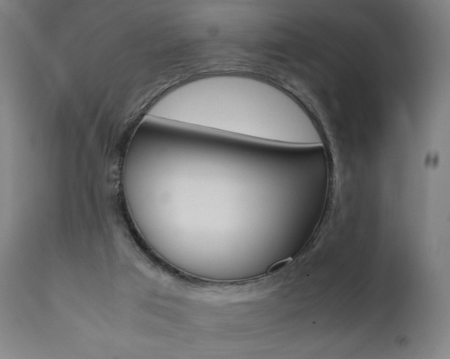 X0000112090017200908041059