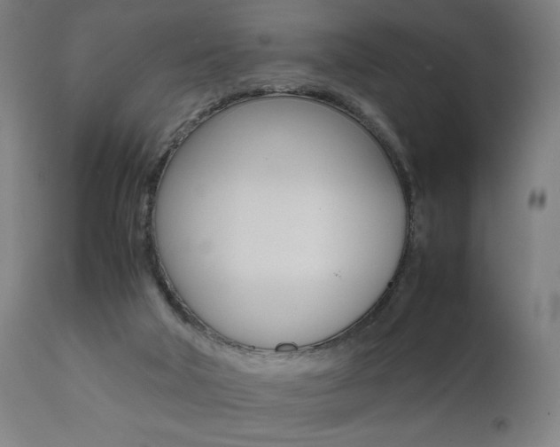 X0000112090018200908041059