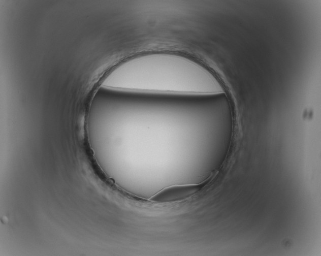 X0000112090019200908041059