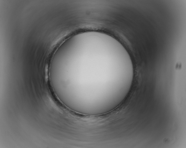 X0000112090020200908041059