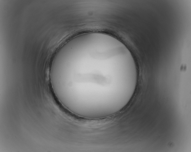 X0000112090021200908041059