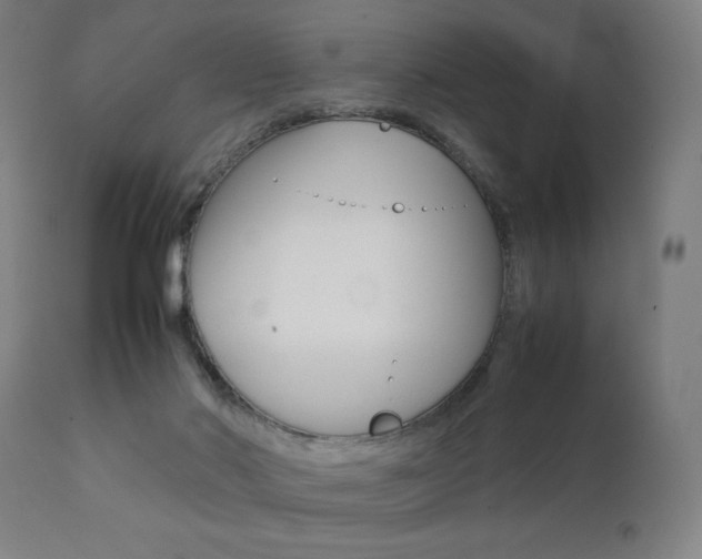 X0000112090022200908041059