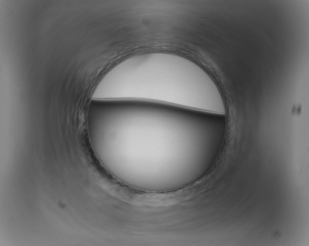 X0000112090025200908041059