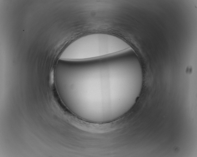 X0000112090027200908041059