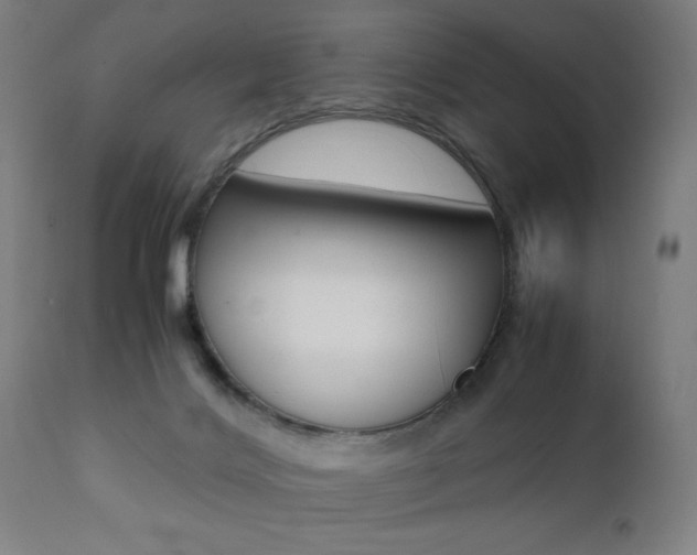 X0000112090028200908041059