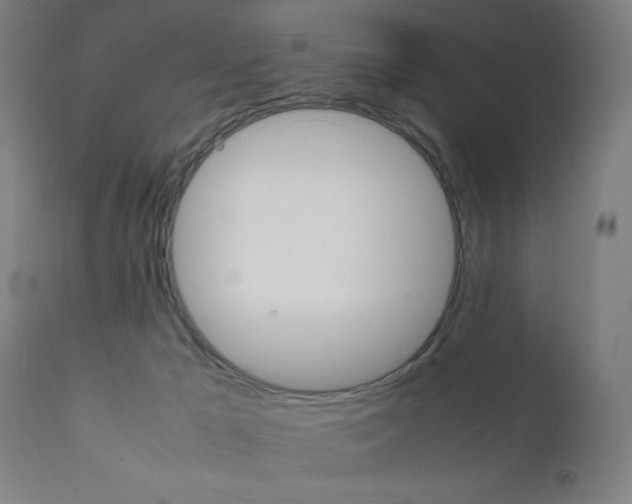 X0000112090029200908041059