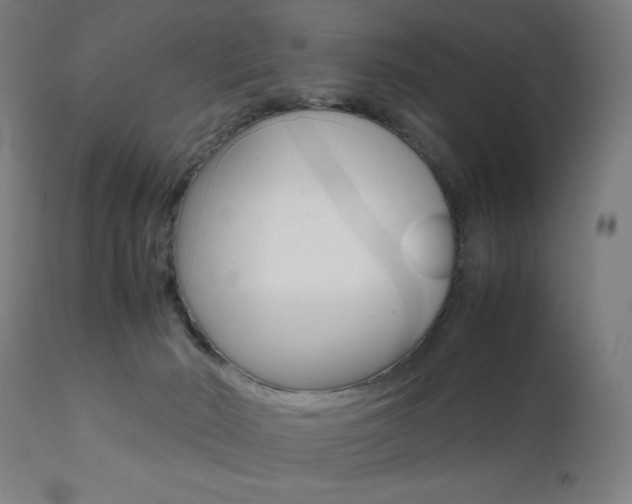 X0000112090030200908041059