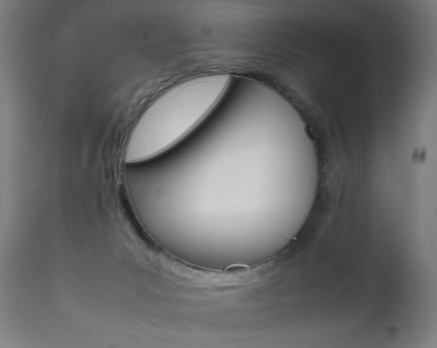 X0000112090031200908041059