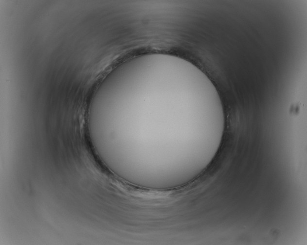 X0000112090032200908041059