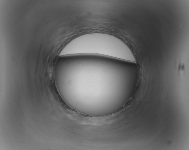 X0000112090033200908041059