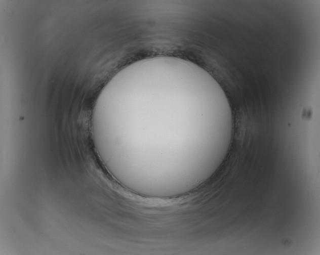 X0000112090034200908041059