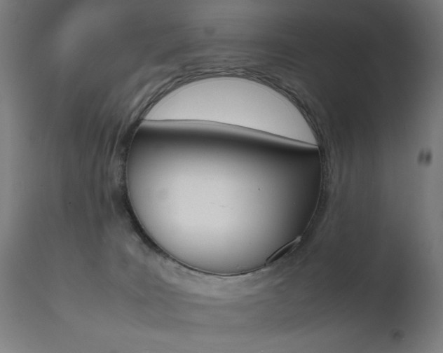 X0000112090035200908041059
