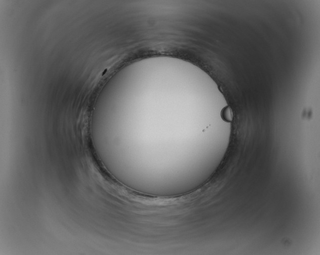 X0000112090036200908041059