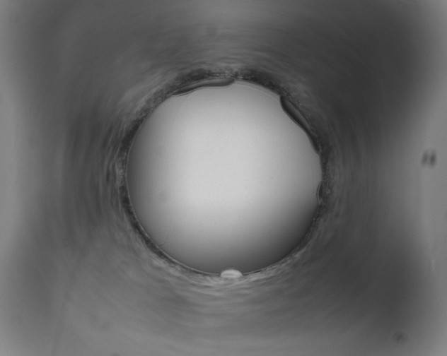 X0000112090037200908041059