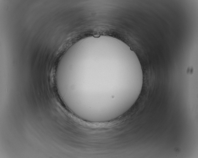 X0000112090038200908041059